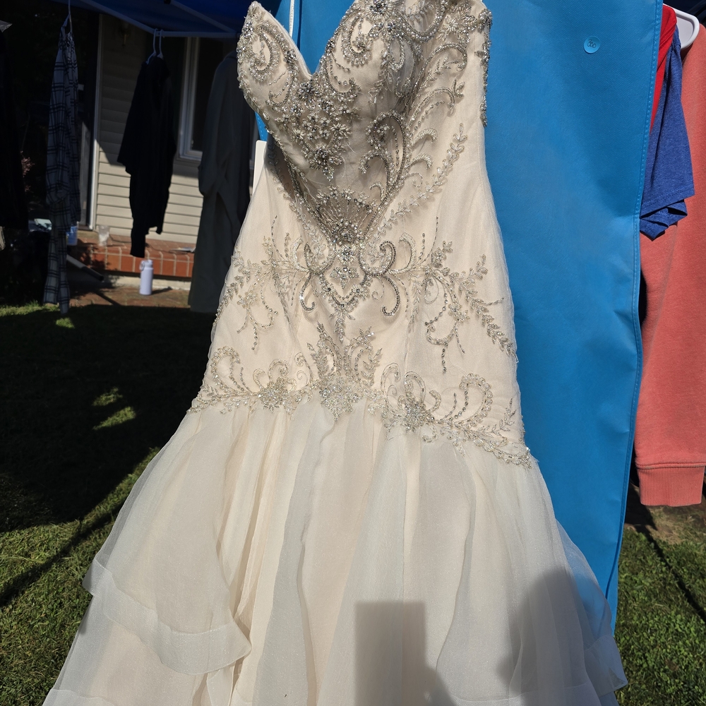Elegant Ivory Strapless Gown with Embellishments Wedding Dress - Picture 4 of 4